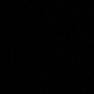 Meet your Posher, Onyx